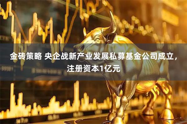 金砖策略 央企战新产业发展私募基金公司成立，注册资本1亿元