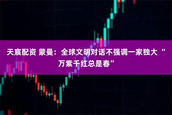 天宸配资 蒙曼：全球文明对话不强调一家独大 “万紫千红总是春”