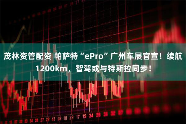 茂林资管配资 帕萨特“ePro”广州车展官宣！续航1200km，智驾或与特斯拉同步！